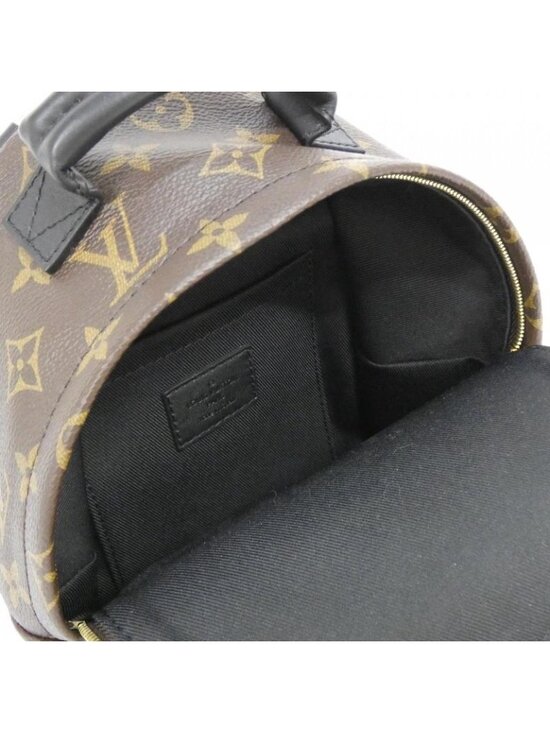 Louis Vuitton Monogram Palm Spring Backpack Mini Sac main image 7